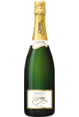 CATTIER BRUT ICONE
