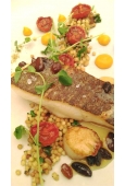 Halibut