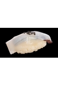 Ika – kalmar nigiri