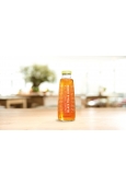 Vapiano Ice Tea - Unsweetened - Black tea & Lemon 0,5 l