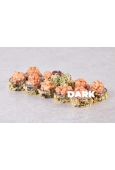 MAKI w tempurze Wulkan 10 szt.