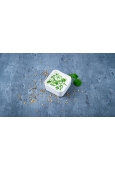 RAITA